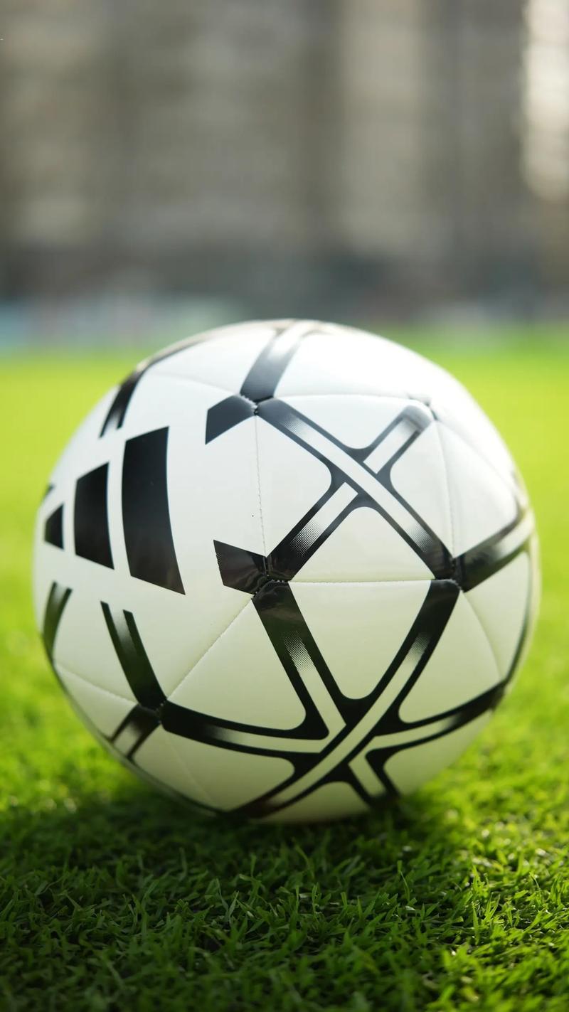 球探即时比分旧版本应用界面展示